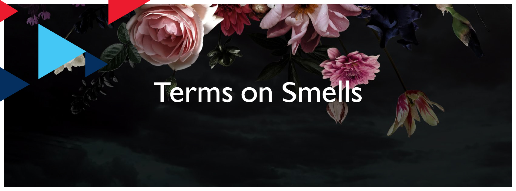 Terms on Smells