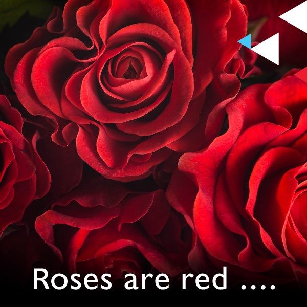 Roses are red&#8230;