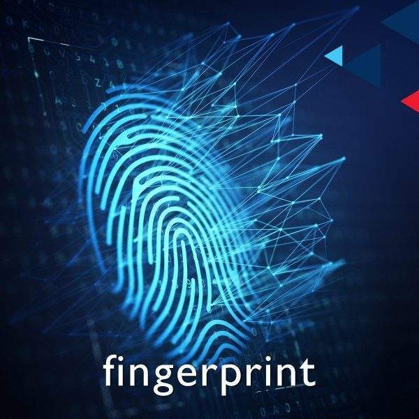 fingerprint, footprint &#038; palm print