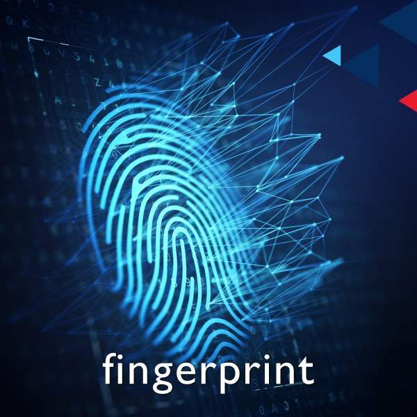 fingerprint, footprint &#038; palm print