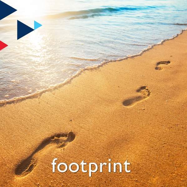 fingerprint, footprint &#038; palm print