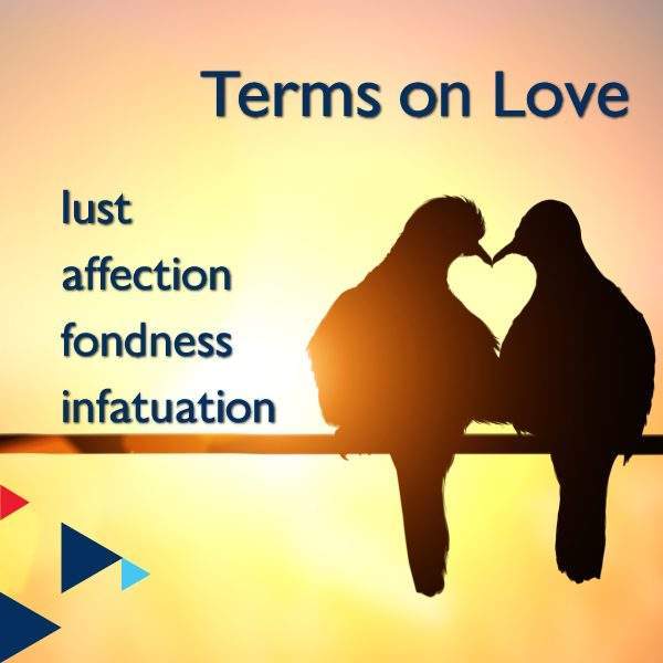 Terms on Love